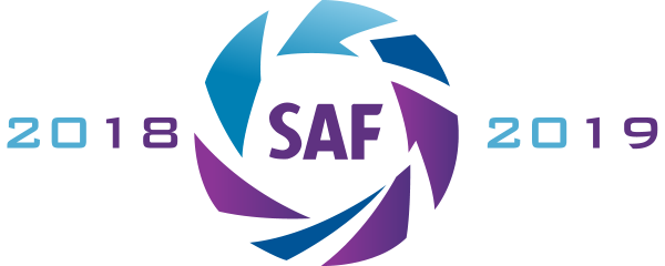 logo de la Superliga 2018-2019