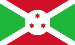 drapeau / logo de l'équipe du Burundi de roller hockey féminin