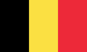 drapeau / logo de l'équipe de Belgique de roller hockey masculin