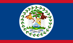 drapeau / logo de l'équipe du Belize de roller hockey masculin