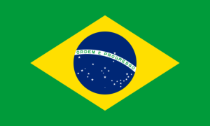 drapeau / logo de l'équipe du Brésil de roller hockey masculin