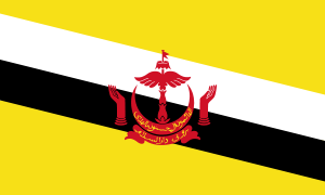 drapeau / logo de l'équipe de Brunei de roller hockey féminin