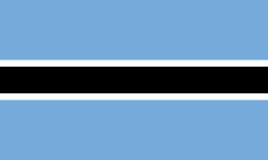 drapeau / logo de l'équipe du Botswana de hockey sur glace féminin