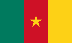 drapeau / logo de l'équipe du Cameroun de hockey sur glace masculin