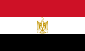 drapeau / logo de l'équipe d'Égypte de roller hockey féminin