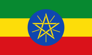 drapeau / logo de l'équipe d'Éthiopie de roller hockey masculin