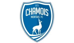 drapeau / logo de l'équipe de Niort de football masculin