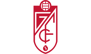 drapeau / logo de l'équipe d'Osasuna de football masculin