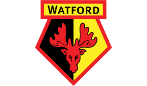 drapeau / logo de l'équipe de Watford de football masculin