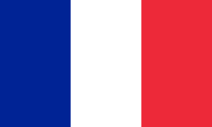 drapeau / logo de l'équipe de France de roller hockey masculin