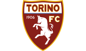 drapeau / logo de l'équipe de Torino de football masculin
