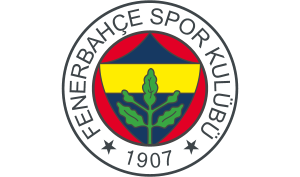 drapeau / logo de l'équipe du Fenerbahçe de football masculin