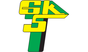drapeau / logo de l'équipe de Łęczna de football féminin