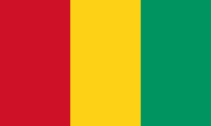 drapeau / logo de l'équipe de Guinée de football féminin