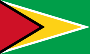 drapeau / logo de l'équipe du Guyana de roller hockey masculin