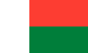 drapeau / logo de l'équipe de Madagascar de football masculin