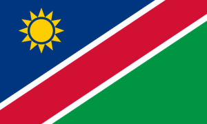 drapeau / logo de l'équipe de Namibie de rugby masculin