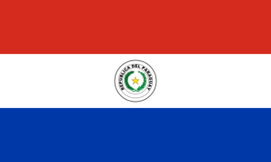 drapeau / logo de l'équipe du Paraguay de football masculin