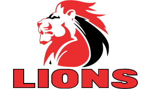 drapeau / logo de l'équipe des Lions de rugby masculin