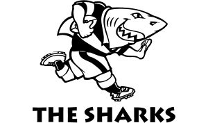 drapeau / logo de l'équipe des Sharks de rugby masculin