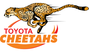 drapeau / logo de l'équipe des Cheetahs de rugby masculin