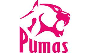 drapeau / logo de l'équipe des Pumas de rugby masculin