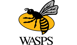 drapeau / logo de l'équipe des Wasps de rugby masculin