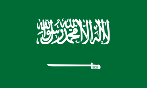 drapeau / logo de l'équipe d'Arabie Saoudite de roller hockey féminin