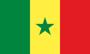 drapeau / logo de l'équipe du Sénégal de football masculin