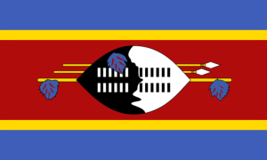 drapeau / logo de l'équipe d'Eswatini de roller hockey masculin
