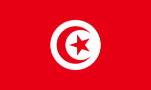 drapeau / logo de l'équipe de Tunisie de football masculin