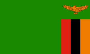 drapeau / logo de l'équipe de Zambie de football féminin