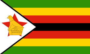 drapeau / logo de l'équipe du Zimbabwe de football masculin